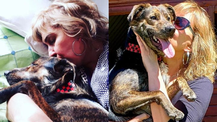 Georgina Barbarossa muy dolida por el accidente de su perro López: "Mirá cómo está por tu culpa"