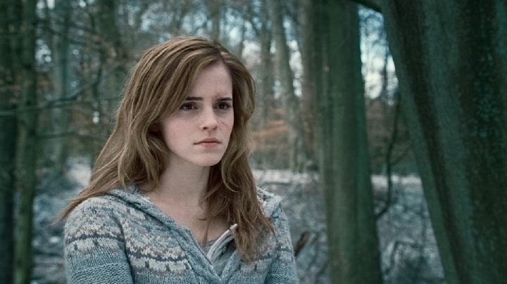 Emma Watson se aleja de la actuación