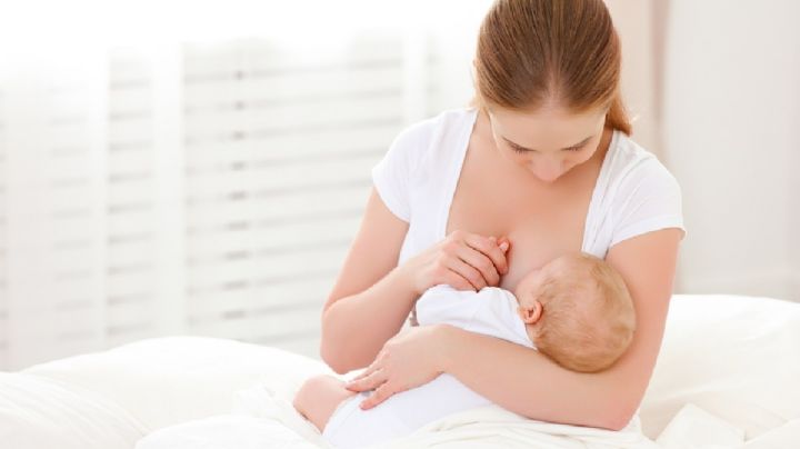 Las mamás vacunadas contra el COVID trasmiten anticuerpos a sus bebés a través de la lactancia
