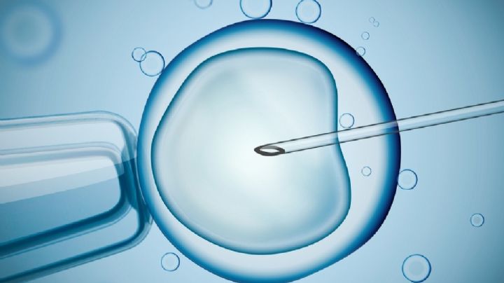 Cuáles son las leyes y normativas que regulan el acceso a los tratamientos de fertilidad