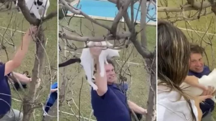 Bebe Contepomi se trepó a un árbol de manera arriesgada para salvar al gato de su hija Elena