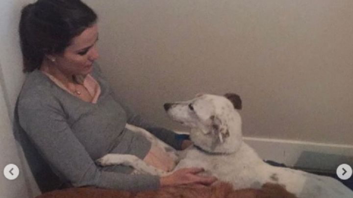 La tristeza infinita de Luli Fernández por la muerte de su perro: “Estoy atravesada por la angustia”