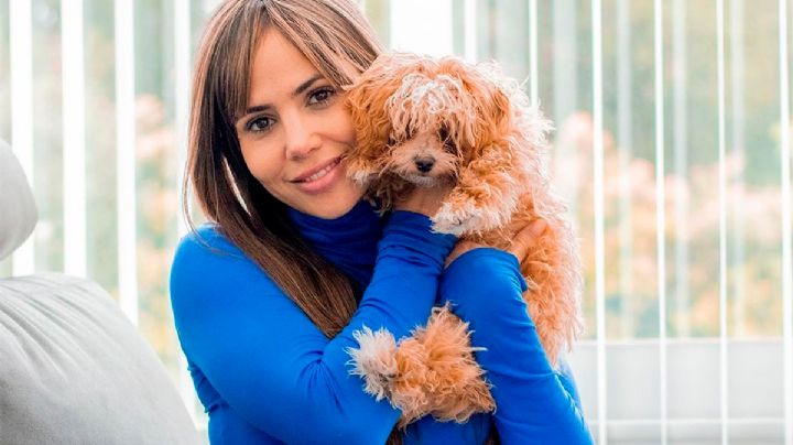 Romina Uhrig mostró a su perro Caramelo y preocupó a todos: las fotos